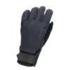 Sealskinz Waterproof All Weather Insulated Glove Black